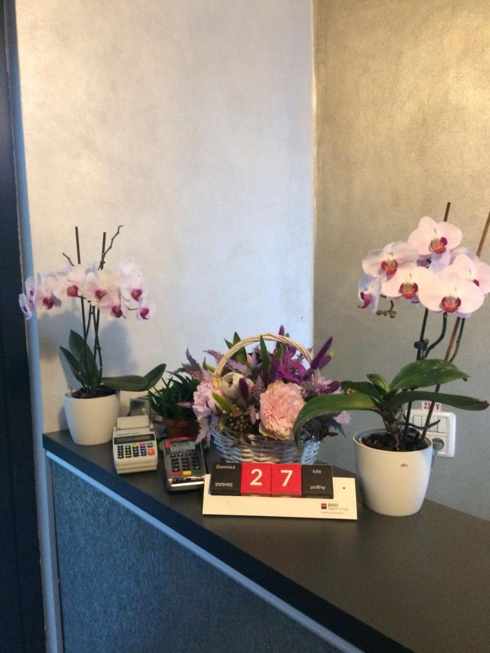 Cittadini Residence Năvodari Eksteriør bilde